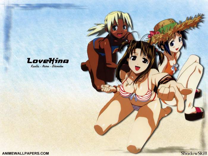 lovehina_06[2].jpg